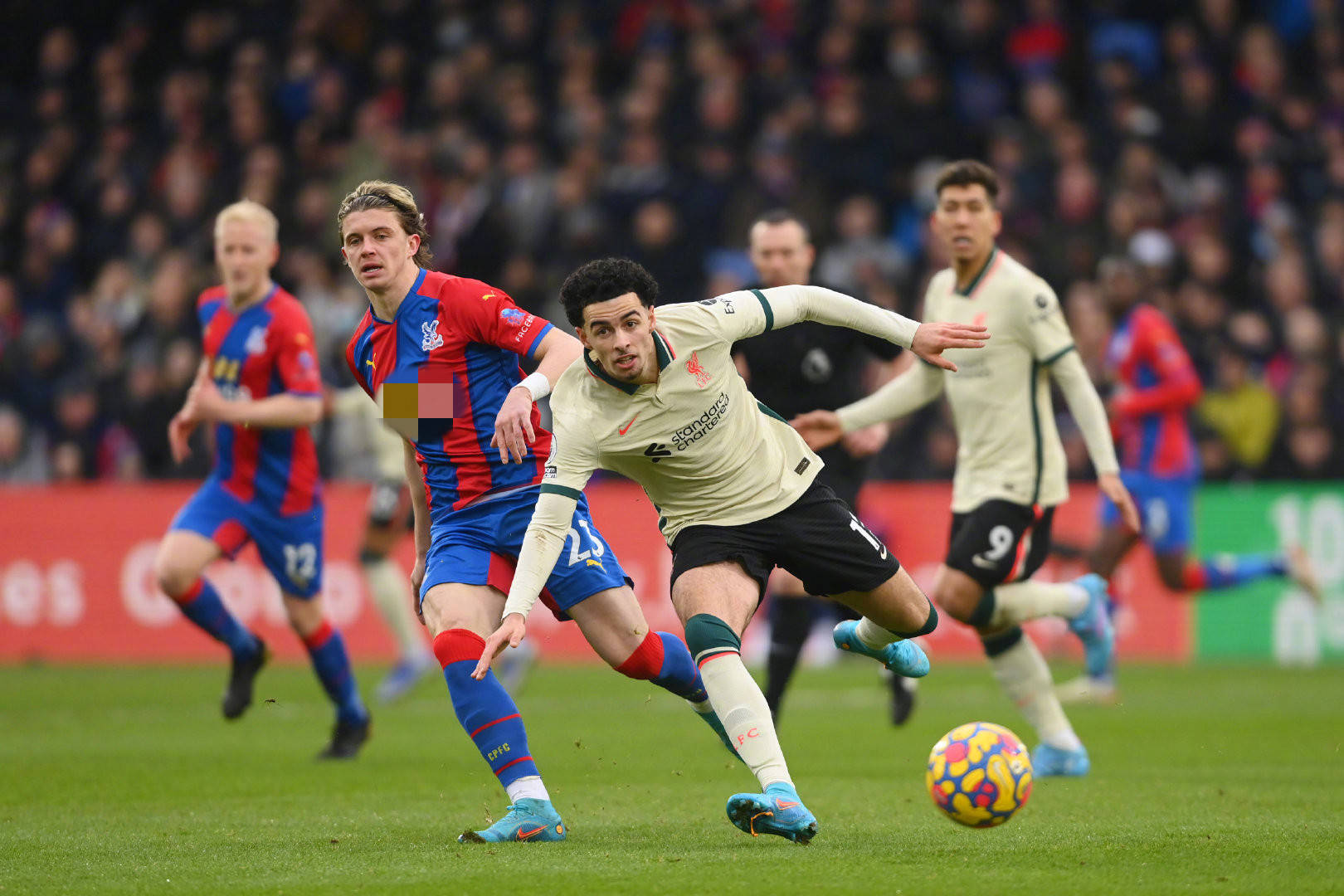 必定能为观 必定能为观